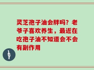 灵芝孢子油会胖吗？老爷子喜欢养生，最近在吃孢子油不知道会不会有副作用