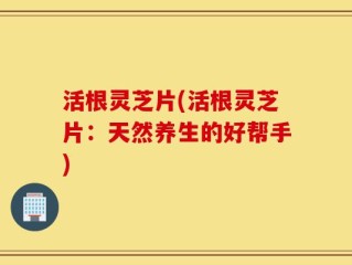 活根灵芝片(活根灵芝片：天然养生的好帮手)