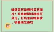 破壁灵芝是哪种灵芝图片？家用破壁料理机打灵芝，打出来成棉絮状，嚼着硬怎吞吃