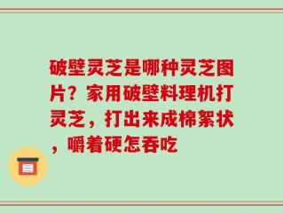 破壁灵芝是哪种灵芝图片？家用破壁料理机打灵芝，打出来成棉絮状，嚼着硬怎吞吃