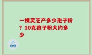一棵灵芝产多少孢子粉？10克孢子粉大约多少