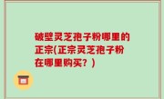 破壁灵芝孢子粉哪里的正宗(正宗灵芝孢子粉在哪里购买？)