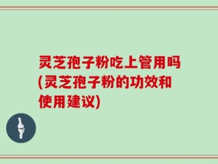 灵芝孢子粉吃上管用吗(灵芝孢子粉的功效和使用建议)