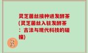 灵芝菌丝接种进发酵茶(灵芝菌丝入驻发酵茶：古法与现代科技的碰撞)