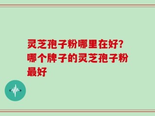 灵芝孢子粉哪里在好？哪个牌子的灵芝孢子粉最好