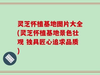 灵芝怀植基地图片大全(灵芝怀植基地景色壮观 独具匠心追求品质)