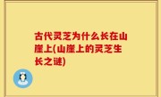 古代灵芝为什么长在山崖上(山崖上的灵芝生长之谜)