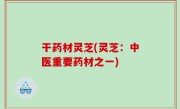 干药材灵芝(灵芝：中医重要药材之一)