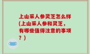 上山采人参灵芝怎么样(上山采人参和灵芝，有哪些值得注意的事项？)