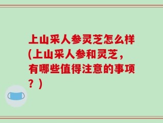 上山采人参灵芝怎么样(上山采人参和灵芝，有哪些值得注意的事项？)