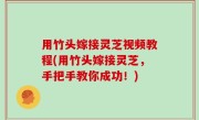 用竹头嫁接灵芝视频教程(用竹头嫁接灵芝，手把手教你成功！)
