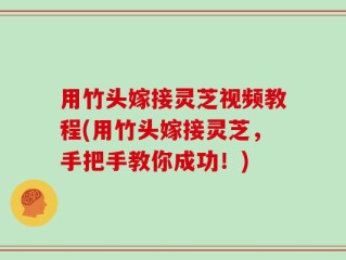 用竹头嫁接灵芝视频教程(用竹头嫁接灵芝，手把手教你成功！)