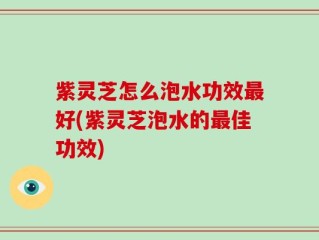 紫灵芝怎么泡水功效最好(紫灵芝泡水的最佳功效)