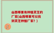 山西哪里有种植灵芝的厂家(山西哪里可以找到灵芝种植厂家？)