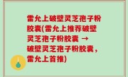 雷允上破壁灵芝孢子粉胶囊(雷允上推荐破壁灵芝孢子粉胶囊 → 破壁灵芝孢子粉胶囊，雷允上首推)