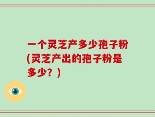 一个灵芝产多少孢子粉(灵芝产出的孢子粉是多少？)