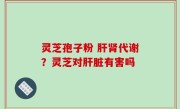 灵芝孢子粉 肝肾代谢？灵芝对肝脏有害吗