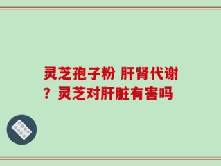 灵芝孢子粉 肝肾代谢？灵芝对肝脏有害吗