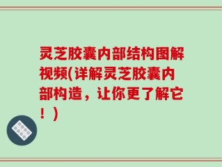 灵芝胶囊内部结构图解视频(详解灵芝胶囊内部构造，让你更了解它！)