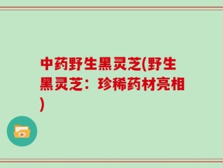 中药野生黑灵芝(野生黑灵芝：珍稀药材亮相)