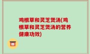 鸡根草和灵芝煲汤(鸡根草和灵芝煲汤的营养健康功效)
