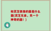 和灵芝很像的菌是什么菌(灵芝兄弟，另一个神奇的菌！)