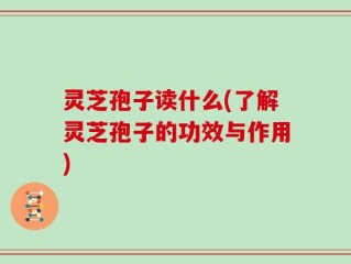 灵芝孢子读什么(了解灵芝孢子的功效与作用)