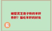 破壁灵芝孢子粉的羊肝养肝？猫吃羊肝的好处