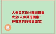 人参灵芝设计图纸图集大全(人参灵芝图集：神奇草药的视觉盛宴)