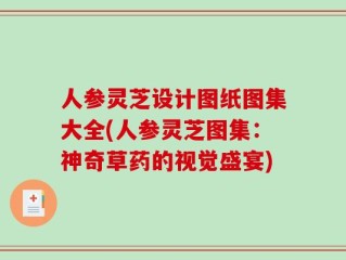 人参灵芝设计图纸图集大全(人参灵芝图集：神奇草药的视觉盛宴)