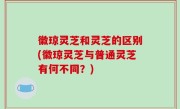 徽琼灵芝和灵芝的区别(徽琼灵芝与普通灵芝有何不同？)