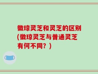 徽琼灵芝和灵芝的区别(徽琼灵芝与普通灵芝有何不同？)