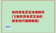 如何煲龟灵芝汤视频窍门(制作煲龟灵芝汤的简单技巧视频教程)