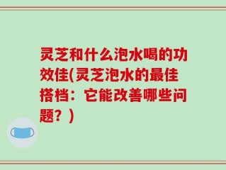灵芝和什么泡水喝的功效佳(灵芝泡水的最佳搭档：它能改善哪些问题？)