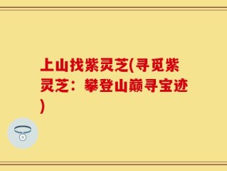 上山找紫灵芝(寻觅紫灵芝：攀登山巅寻宝迹)