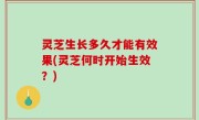 灵芝生长多久才能有效果(灵芝何时开始生效？)