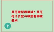 灵芝破壁哪里破？灵芝孢子去壁与破壁有哪些差别