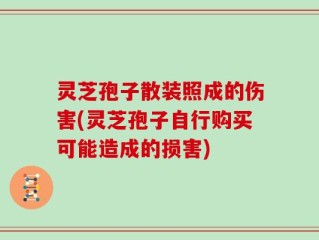 灵芝孢子散装照成的伤害(灵芝孢子自行购买可能造成的损害)