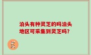 泊头有种灵芝的吗泊头地区可采集到灵芝吗？