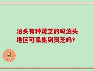 泊头有种灵芝的吗泊头地区可采集到灵芝吗？