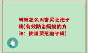蚂蚁怎么灭害灵芝孢子粉(有效防治蚂蚁的方法：使用灵芝孢子粉)