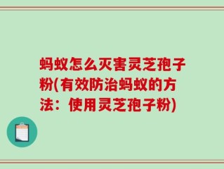 蚂蚁怎么灭害灵芝孢子粉(有效防治蚂蚁的方法：使用灵芝孢子粉)