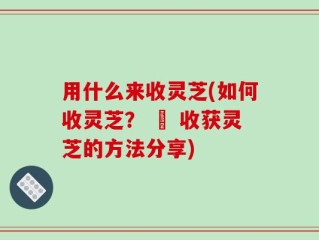 用什么来收灵芝(如何收灵芝？ – 收获灵芝的方法分享)