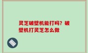 灵芝破壁机能打吗？破壁机打灵芝怎么做