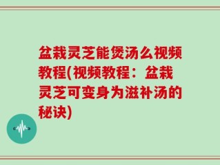 盆栽灵芝能煲汤么视频教程(视频教程：盆栽灵芝可变身为滋补汤的秘诀)