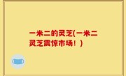 一米二的灵芝(一米二灵芝震惊市场！)