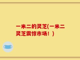 一米二的灵芝(一米二灵芝震惊市场！)