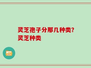 灵芝孢子分那几种类？灵芝种类