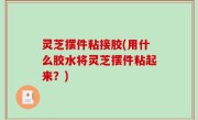 灵芝摆件粘接胶(用什么胶水将灵芝摆件粘起来？)