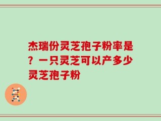 杰瑞份灵芝孢子粉率是？一只灵芝可以产多少灵芝孢子粉
